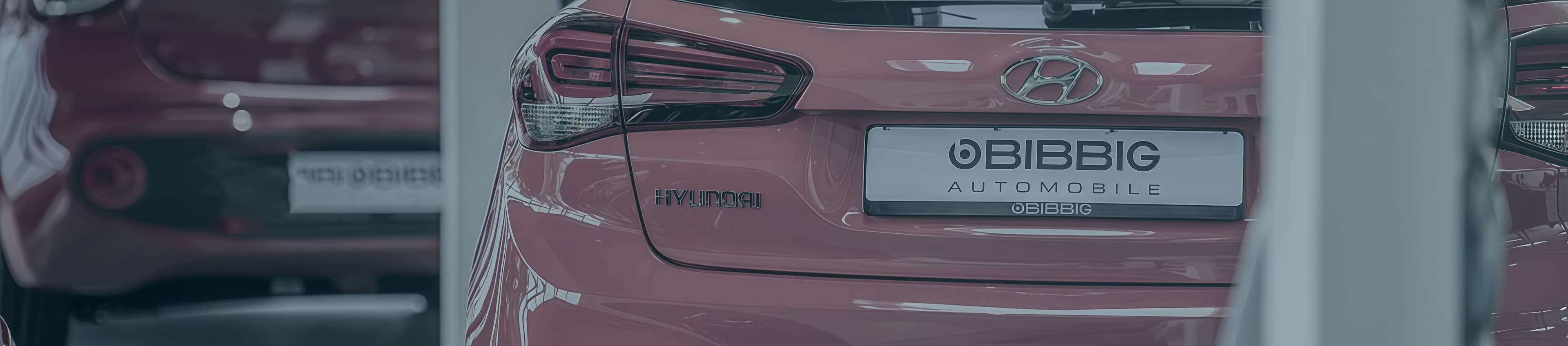 Bonus Program Background